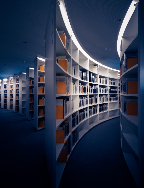 Biblioteka. Fot. Martin Adams, Unsplash