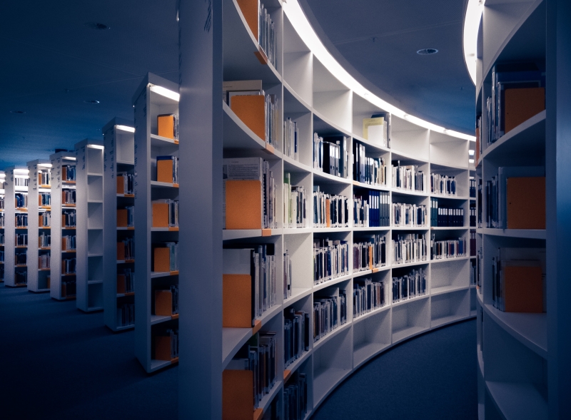 Biblioteka. Fot. Martin Adams, Unsplash