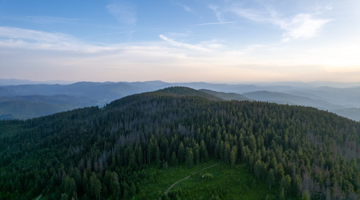 Beskid Żywiecki, 08.06.2024 r. Fot. Wiktoria Dyszy | IMGW-PIB