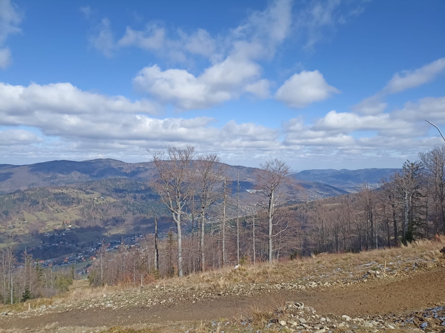 Beskid Śląski, 16.03.2024 r. Fot. Michał Sikora-Le | IMGW-PIB.