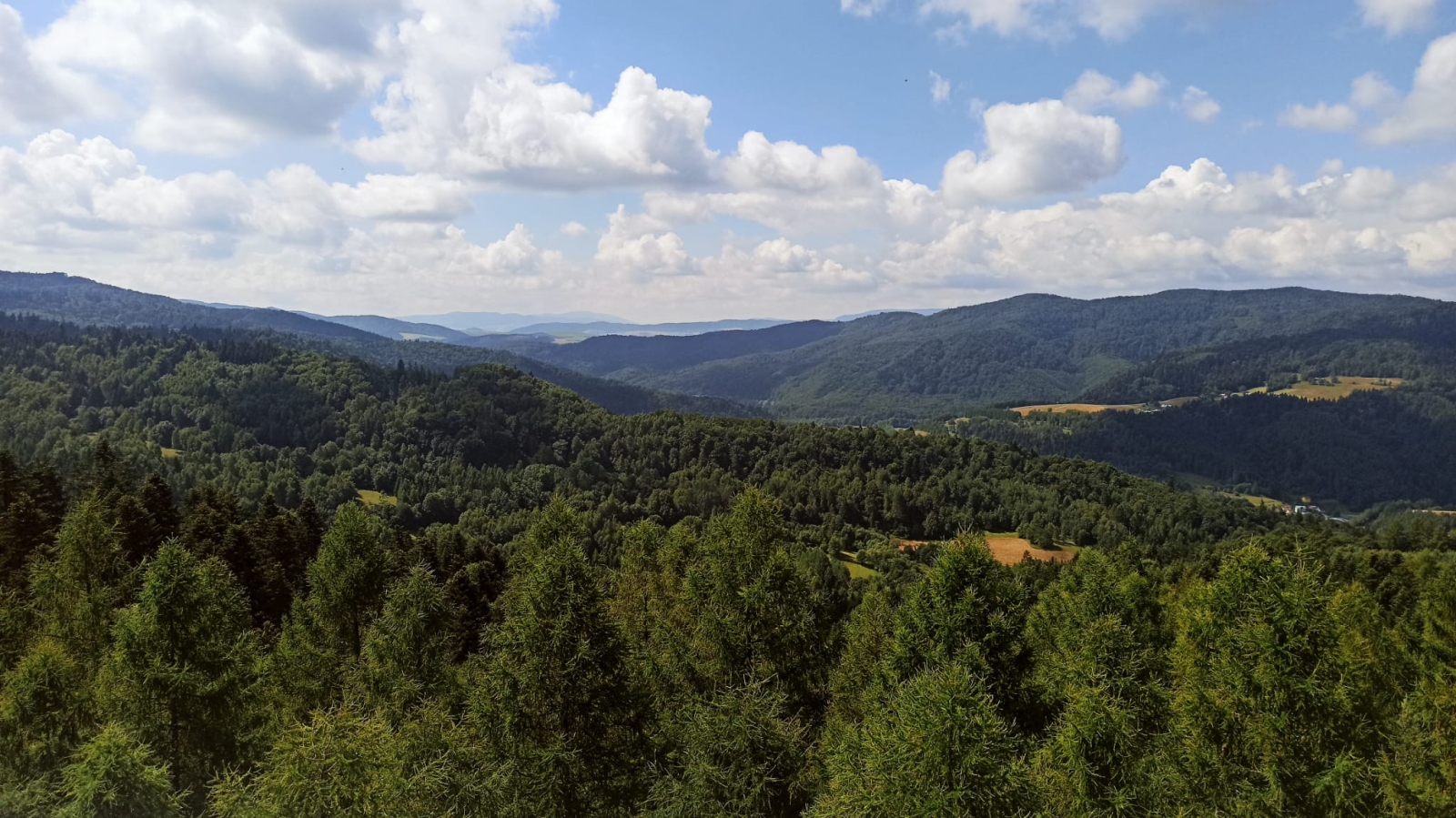 Beskid Sądecki, 04.07.2024 r. Fot. Paweł Staniszewski | IMGW-PIB