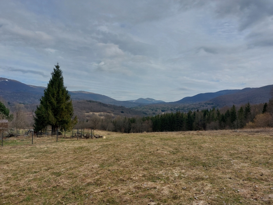 Bieszczady, marzec 2024 r. Fot. Wioletta Bogaczyk | IMGW-PIB.