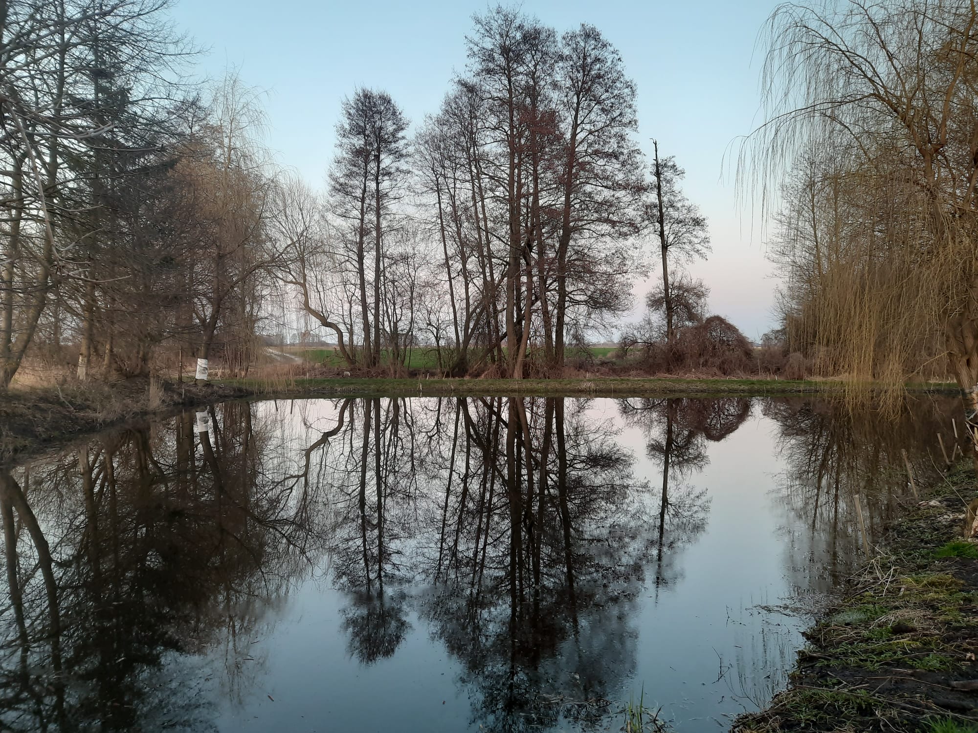 Początek wiosny na Mazowszu, 07.03.2024 r. Fot. Emilia Szewczak | IMGW-PIB