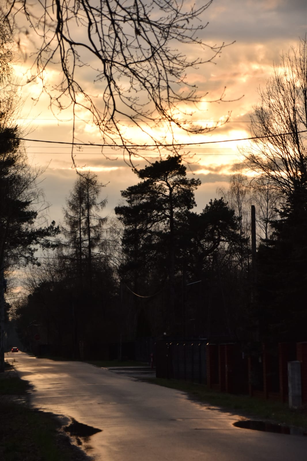 Popołudnie na Mazowszu podczas przechodzenia frontu chłodnego, 28.03.2024 r. Fot. Izabela Adrian | IMGW-PIB