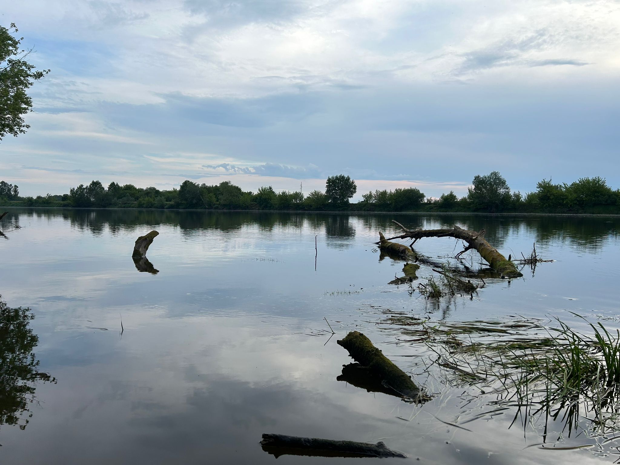 Narew na Mazowszu, 26.05.2024 r. Fot. Agnieszka Saluta-Śmiałkowska | IMGW-PIB