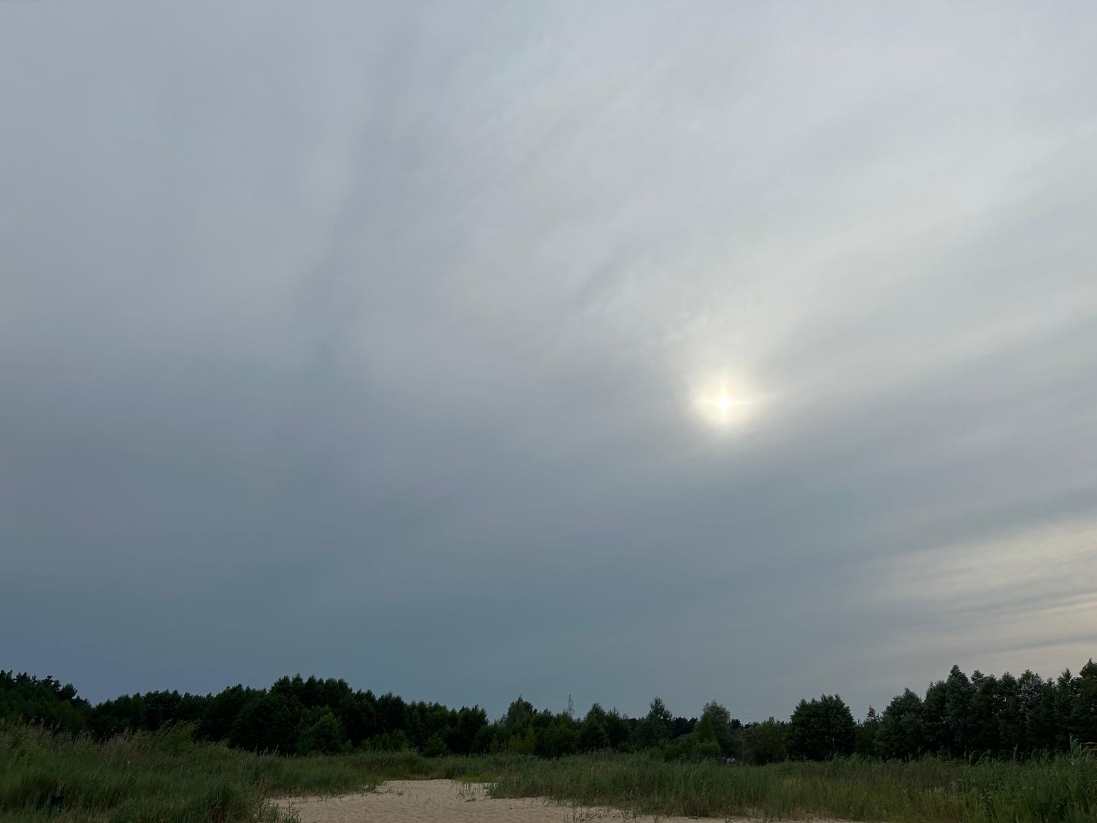 Pochmurne Mazowsze, 27.06.2024 r. Fot. Agnieszka Saluta-Śmiałkowska | IMGW