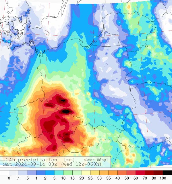 Prognozowana dobowa suma opadów na piątek (13.09.2024) wg wyników modeli ECMWF.