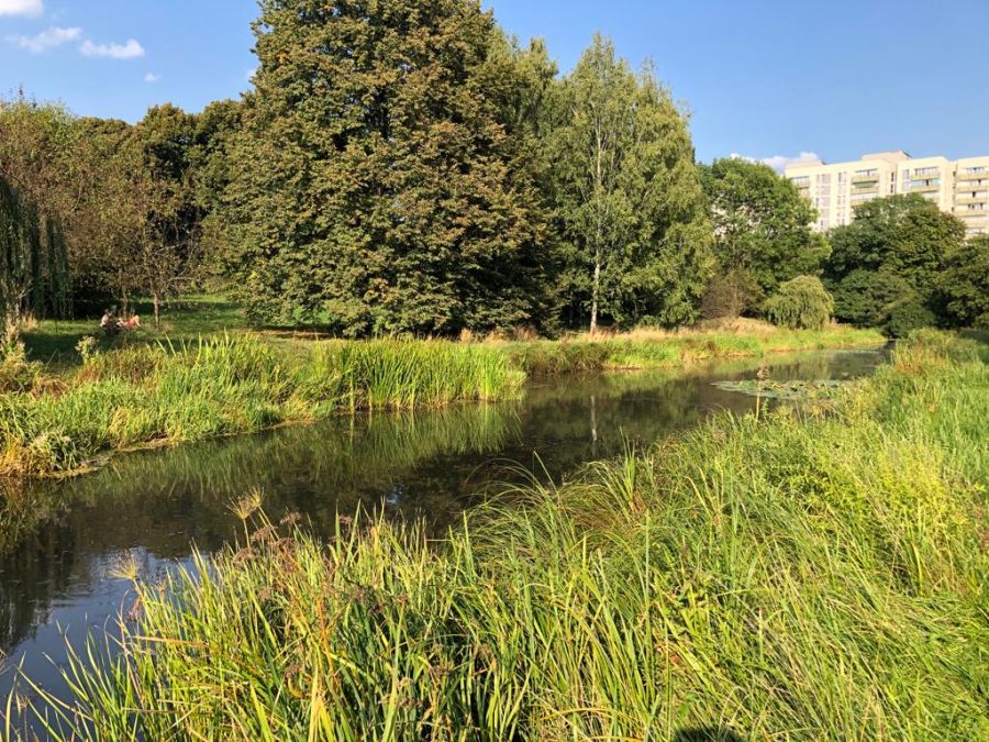 Kanał Wystawowy, Warszawa, Fot. Dariusz Witkowski| IMGW-PIB