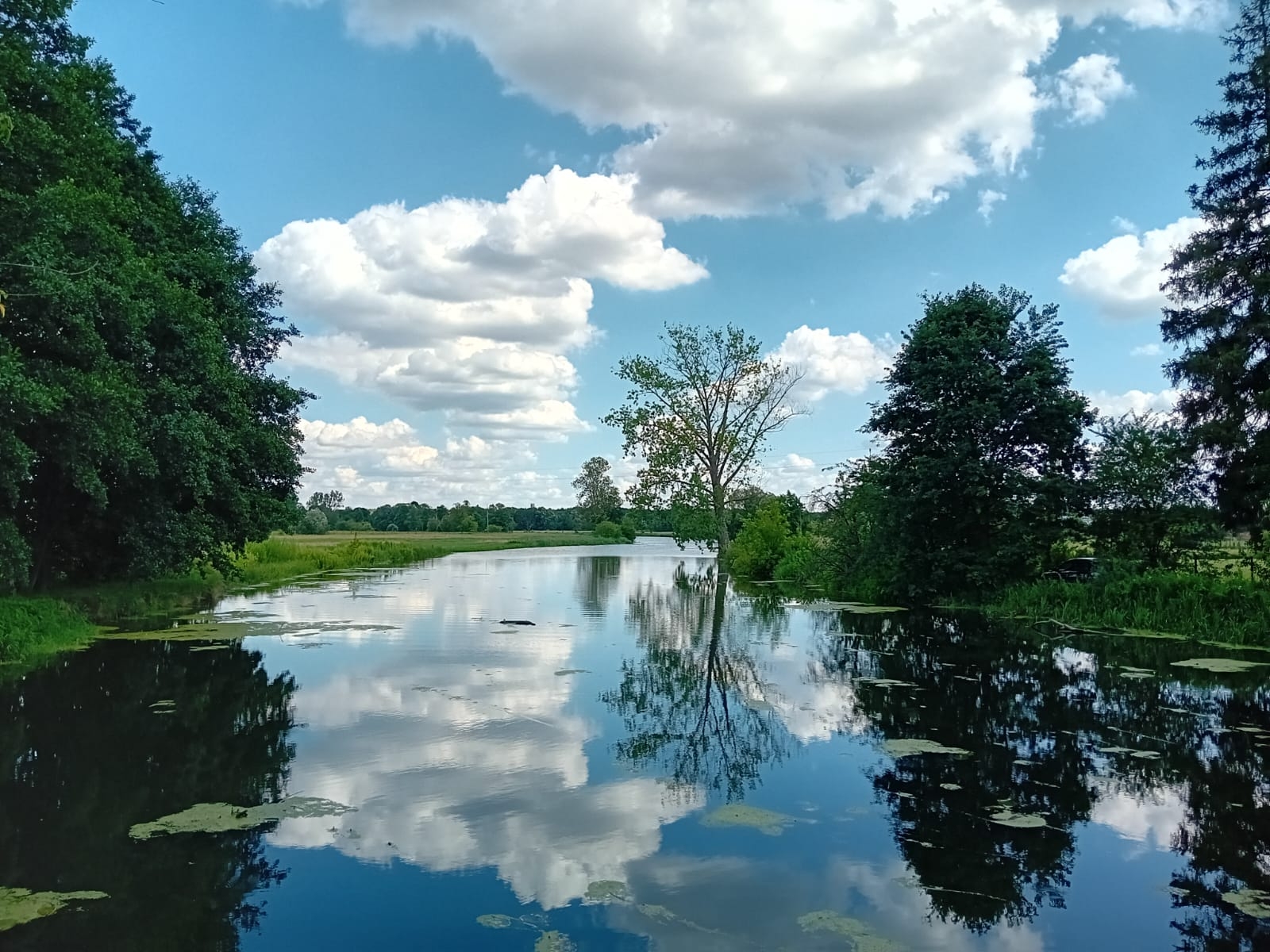 Mazowsze, lipiec 2024 r. Fot. Jan Szymankiewicz | IMGW-PIB