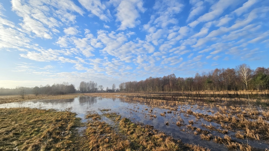 Mazowsze, 26.02.2024 r. Fot. Izabela Adrian | IMGW-PIB