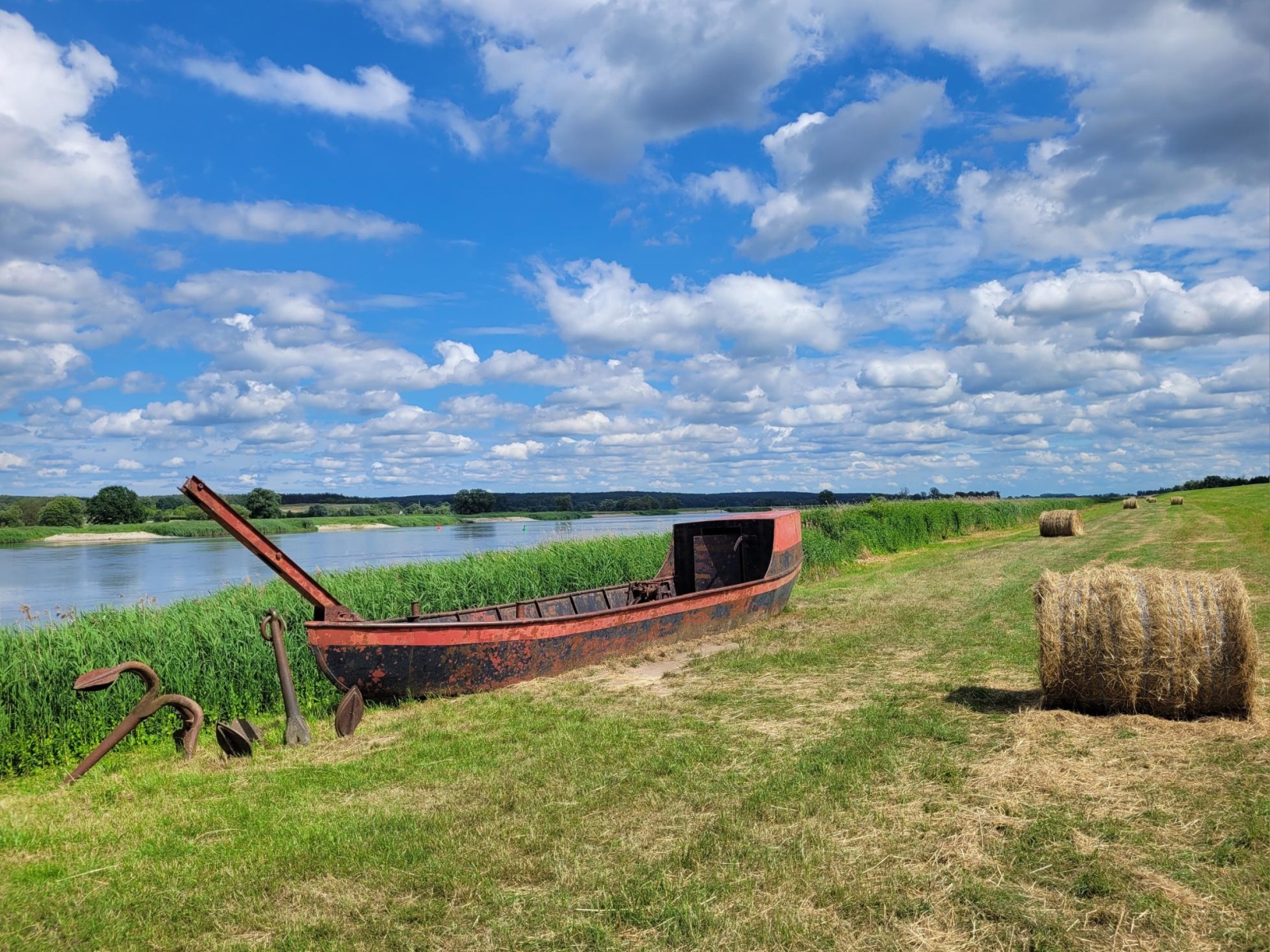 Nad Odrą, czerwiec 2024 r. Fot. Agnieszka Harasimowicz | IMGW-PIB