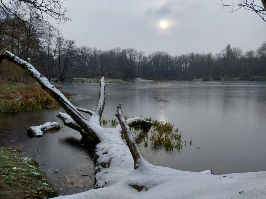 Zamarznięte Stawy Kacze, Park Skaryszewski w Warszawie, Fot. Dariusz Witkowski| IMGW-PIB