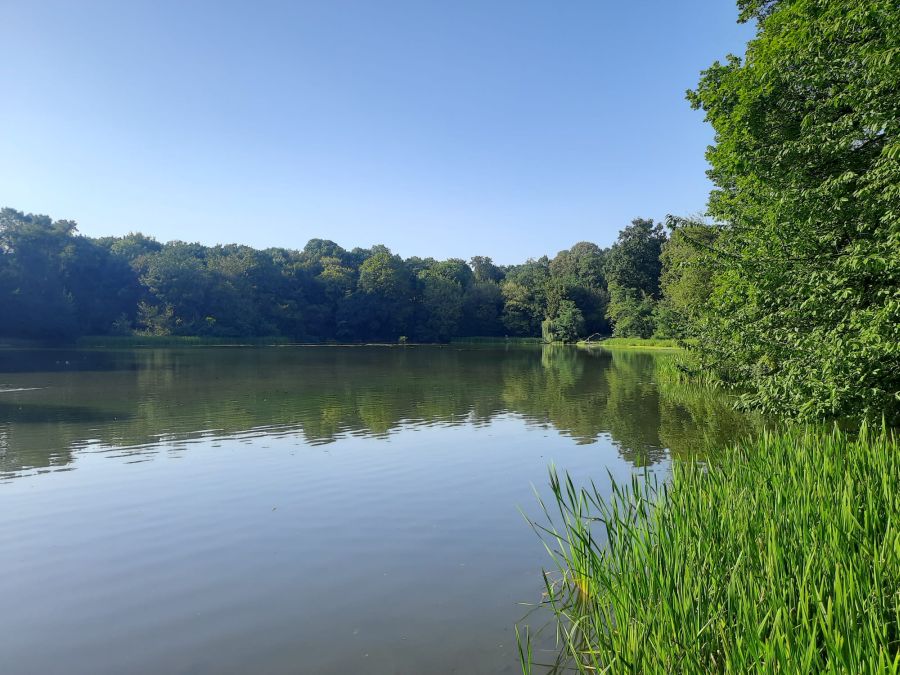 Park Skaryszewski w Warszawie, Fot. Emilia Szewczak| IMGW-PIB