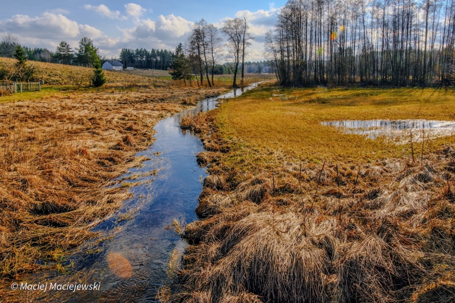 Okolice miejscowości Ratowiec w woj. podlaskim. Fot. Maciej Maciejewski | IMGW-PIB