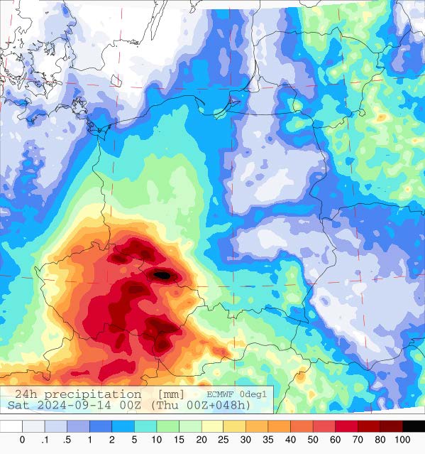 Prognozowana dobowa suma opadów na piątek (13.09.2024) wg wyników modelu ECMWF.