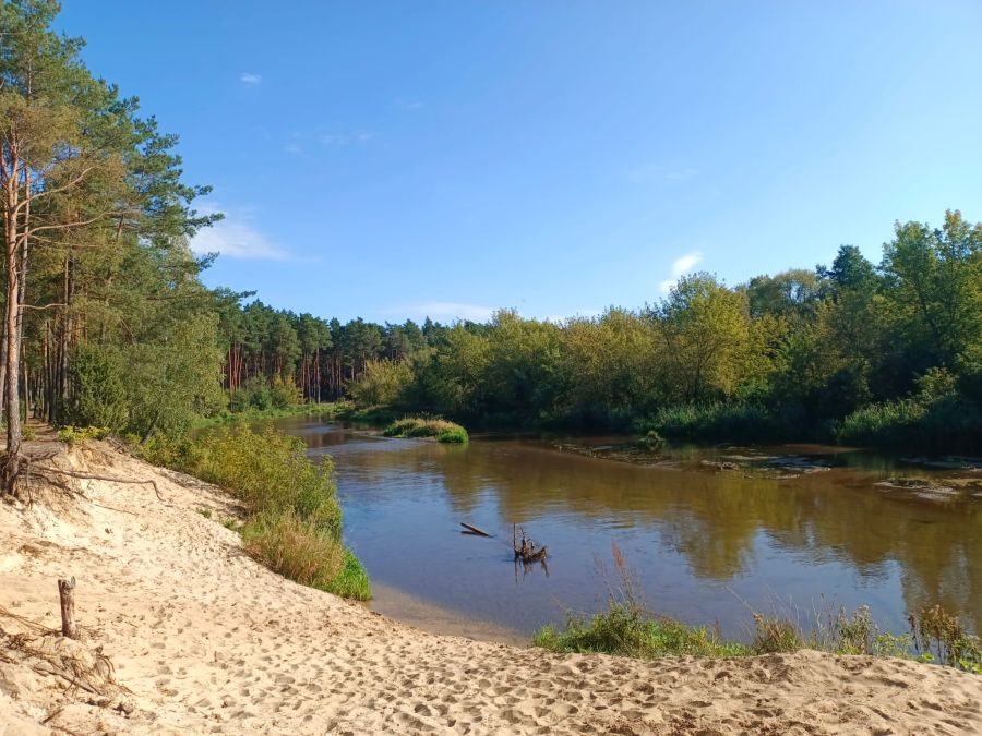 Rzeka Liwiec. Fot. Izabela Adrian| IMGW-PIB