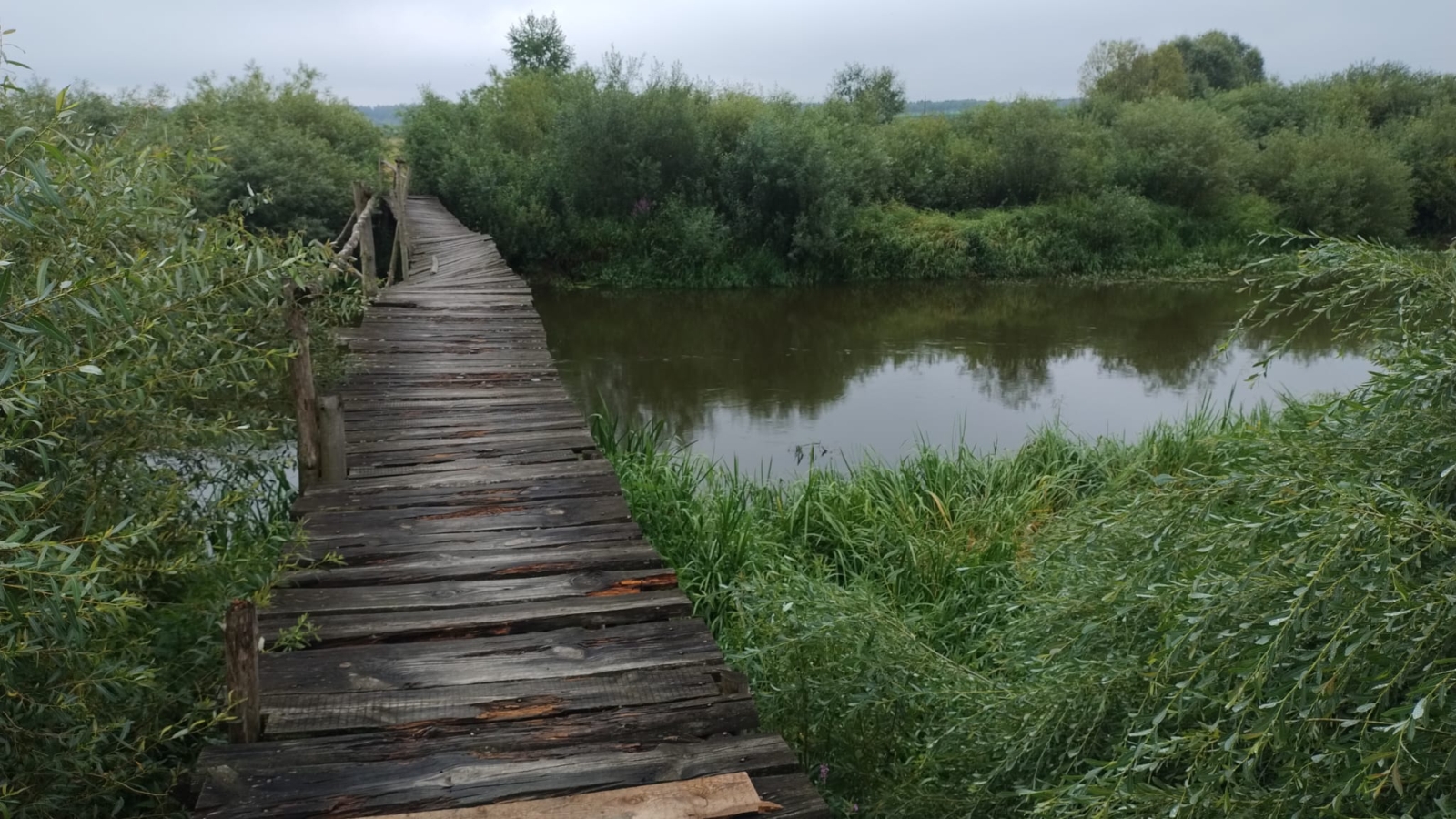 Narew. Fot. Dariusz Witkowski | IMGW-PIB