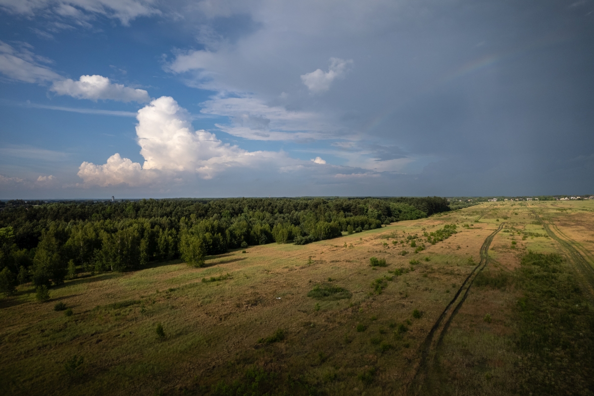 Śląsk, 02.06.2024 r. Fot. Wiktoria Dyszy | IMGW-PIB