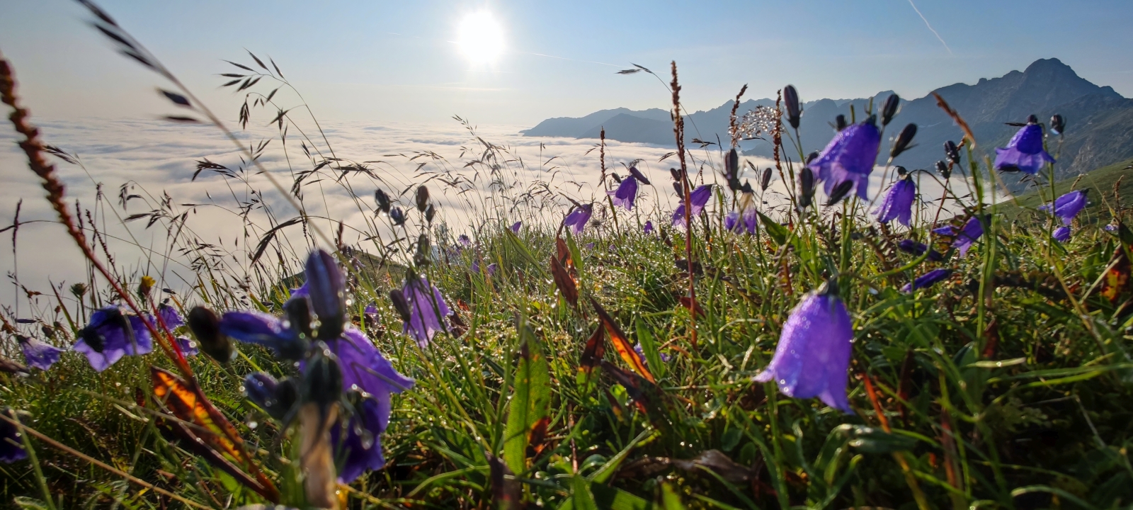 Tatry, lipiec 2024 r. Fot. Witold Kaszkin | IMGW-PIB