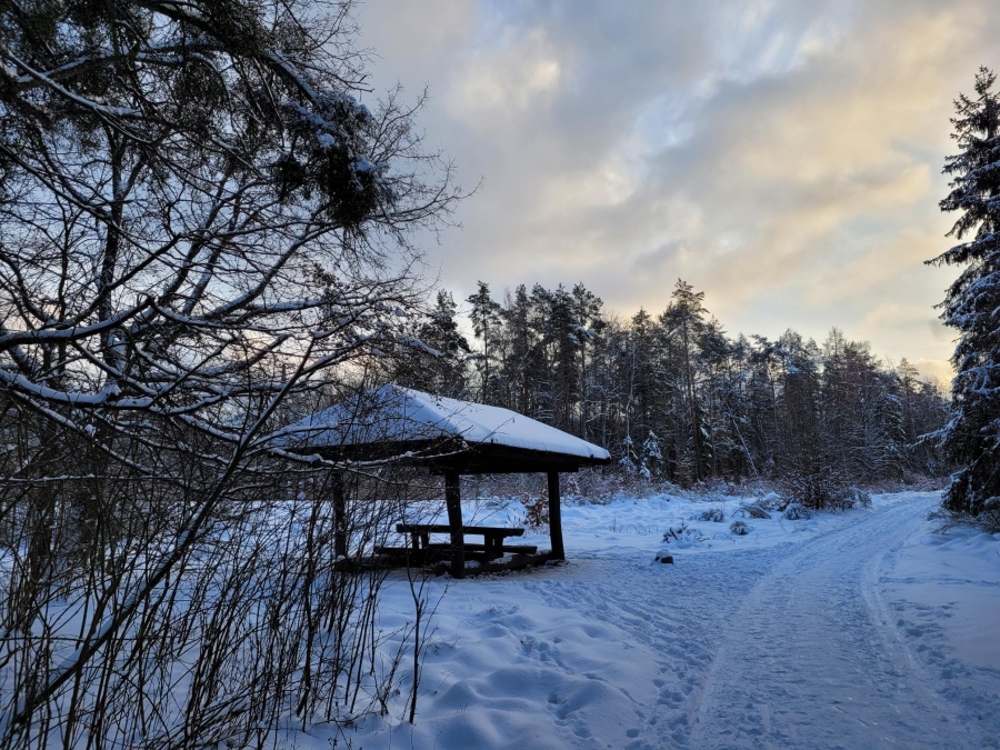 Trójmiejski Park Krajobrazowy, styczeń 2024 r., Fot. Agnieszka Harasimowicz | IMGW-PIB