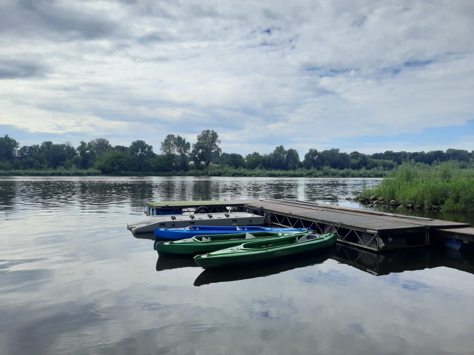 Wisła w Modlinie, Czerwiec 2024 r. Fot. Emilia Szewczak | IMGW-PIB