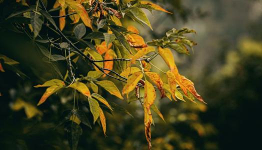 F. Artem Beliaikin | Unsplash