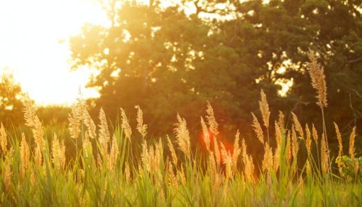 F. Dakota Roos | Unsplash