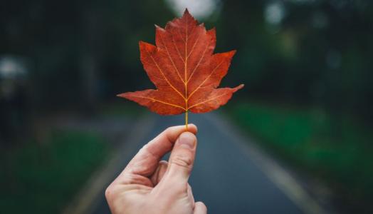 jesień, F. Luke Porter | Unsplash