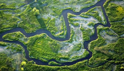 Narew, fot. Maciek Maciejewski