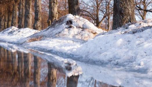 Fot. Tapio Haaja Unsplash