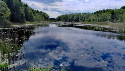 Podlasie, 04.06.2021 r. | Fot. Julita Biszczuk-Jakubowska, IMGW-PIB Warszawa