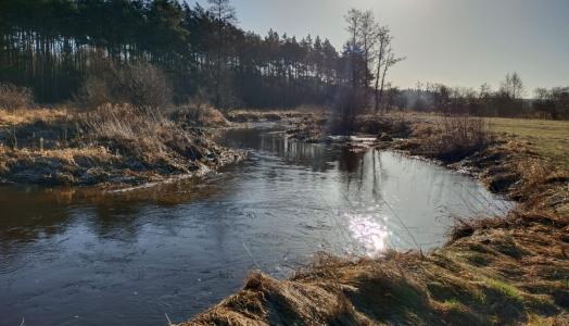 Luty na Mazowszu, 24.02.2022 r. | Fot. Izabela Adrian, IMGW-PIB