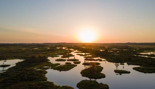 Mokradla, zachód słońca | fot. Single Earth Unsplash