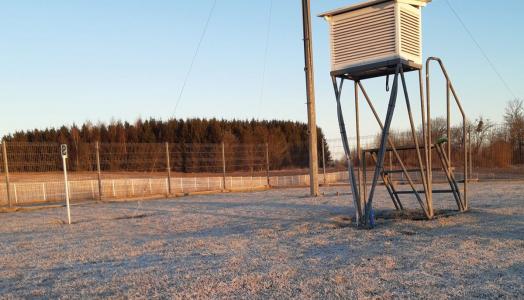 Ogródek na Stacji Meteorologicznej Elbląg-Milejewo, fot. Dariusz Pałka