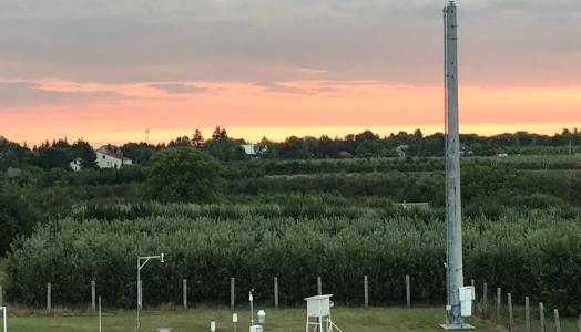 Maszt i czujnik systemu PERUN na stacji meteorologicznej w Sandomierzu.