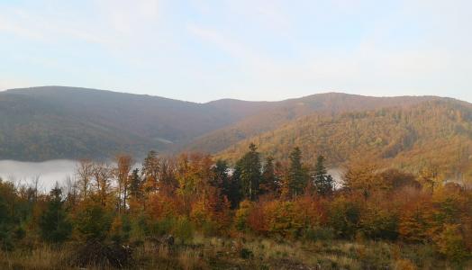 Beskid Niski, 13.10.2020 r. Fot. Krzysztof Piasecki | IMGW-PIB