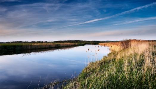 Rzeka Narew. Fot. Maciej Maciejewski | IMGW-PIB