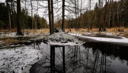 Nad Czarną i Supraślą. Fot. Maciej Maciejewski | IMGW-PIB