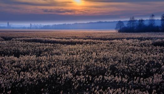 Zima nad Narwią. Fot. Maciej Maciejewski | IMGW-PIB