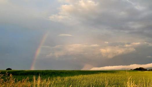 Kaszuby, 16.06.2023 r., Fot. A. Harasimowicz | IMGW-PIB 