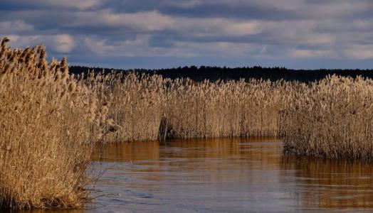 Nad Czarną i Supraślą. Fot. Maciej Maciejewski | IMGW-PIB