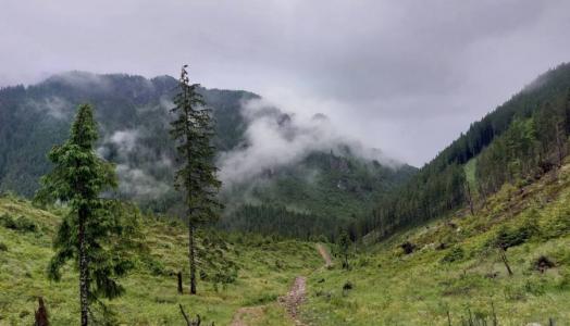 Tatry Zachodnie,  24.06.2023 r. Fot. Wioletta Bogaczyk| IMGW-PIB