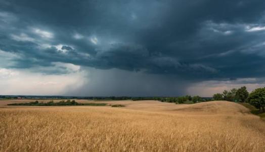 Burza w okolicach Giżycka - 16.07.2023 r. Fot. Mateusz Zamajtys | IMGW-PIB