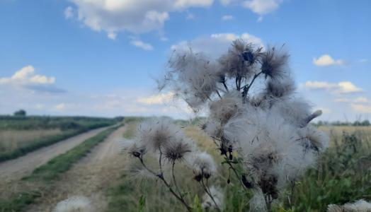 Prognoza meteorologiczna i szczegółowa prognoza hydrologiczna  na kolejne 7 dni (18-24.08.2023 r.)