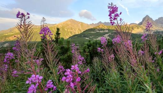 Tatry. Fot. Witold Kaszkin | IMGW-PIB