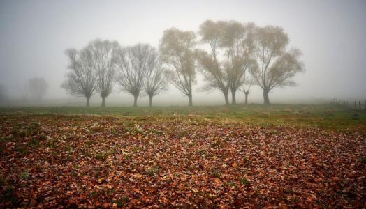 Jesień. Fot. Maciej Maciejewski | IMGW-PIB