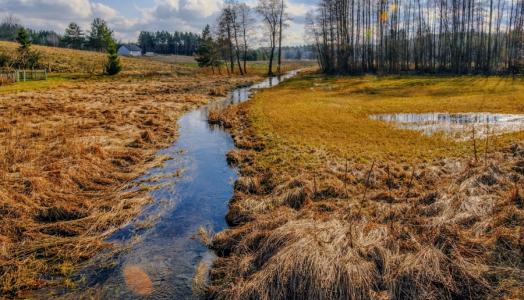 Okolice miejscowości Ratowiec w woj. podlaskim. Fot. Maciej Maciejewski | IMGW-PIB