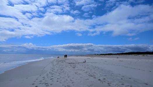 Plaża na Półwyspie Helskim nad Morzem Bałtyckim, 17.04.2024 r. Fot. Julita Biszczuk-Jakubowska | IMGW-PIB