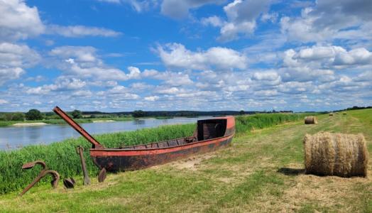 Nad Odrą, czerwiec 2024 r. Fot. Agnieszka Harasimowicz | IMGW-PIB