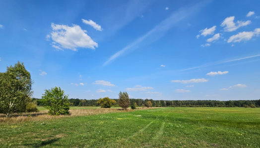 Synoptyczna prognoza pogody na weekend (06-08.09.2024 r.)